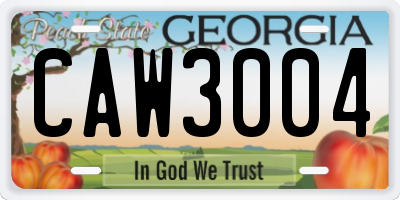 GA license plate CAW3004