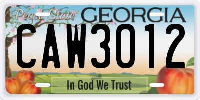 GA license plate CAW3012