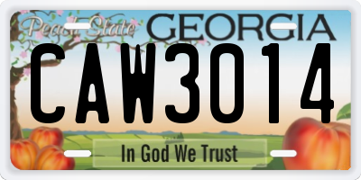 GA license plate CAW3014