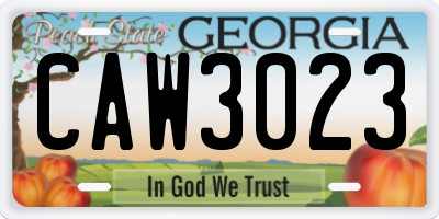 GA license plate CAW3023