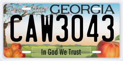 GA license plate CAW3043