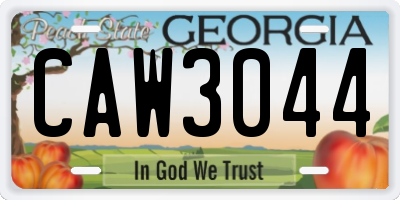 GA license plate CAW3044