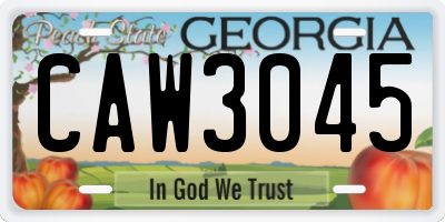 GA license plate CAW3045