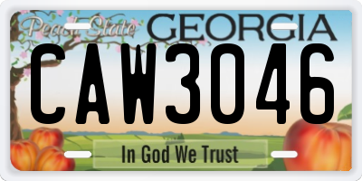 GA license plate CAW3046