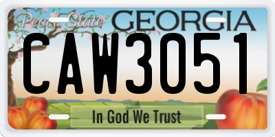 GA license plate CAW3051