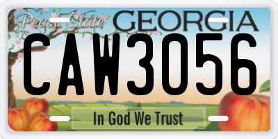 GA license plate CAW3056