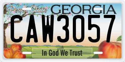 GA license plate CAW3057