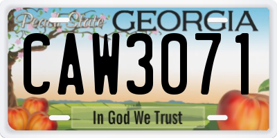 GA license plate CAW3071