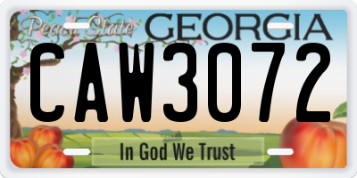 GA license plate CAW3072