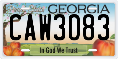 GA license plate CAW3083