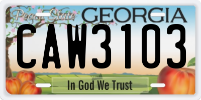 GA license plate CAW3103