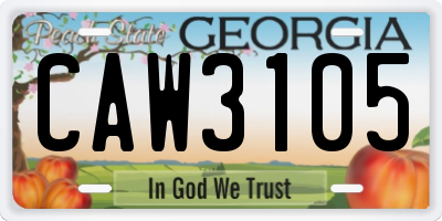 GA license plate CAW3105