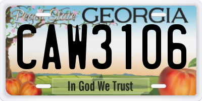 GA license plate CAW3106