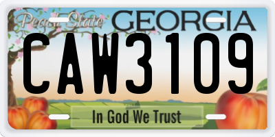 GA license plate CAW3109