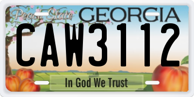 GA license plate CAW3112