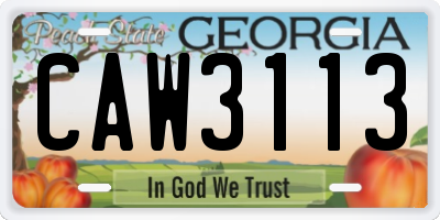 GA license plate CAW3113