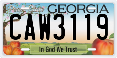 GA license plate CAW3119