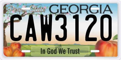 GA license plate CAW3120