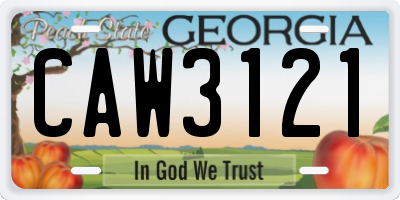 GA license plate CAW3121