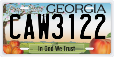 GA license plate CAW3122