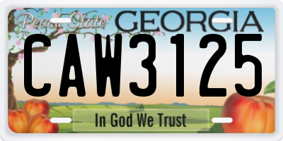 GA license plate CAW3125