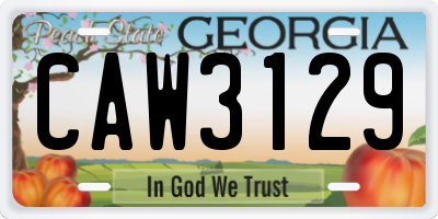 GA license plate CAW3129