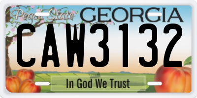 GA license plate CAW3132