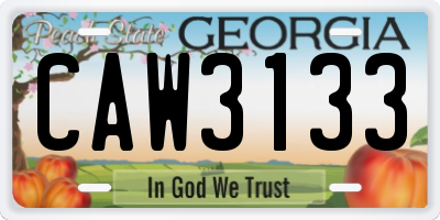 GA license plate CAW3133