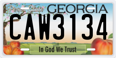 GA license plate CAW3134