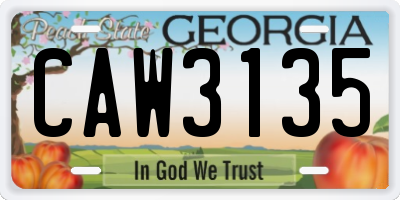 GA license plate CAW3135