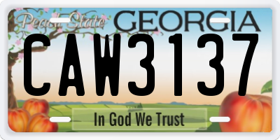 GA license plate CAW3137