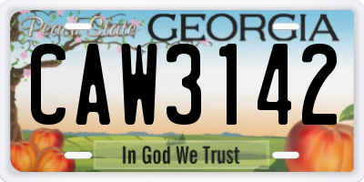 GA license plate CAW3142