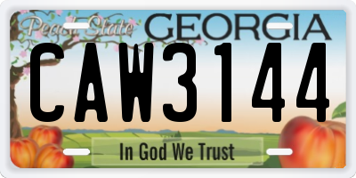 GA license plate CAW3144