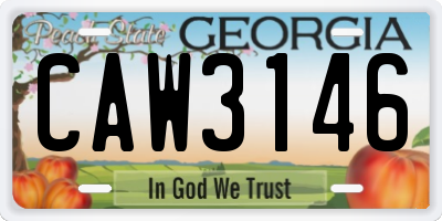 GA license plate CAW3146