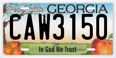 GA license plate CAW3150