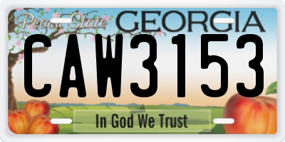 GA license plate CAW3153