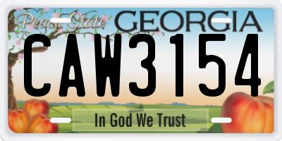 GA license plate CAW3154