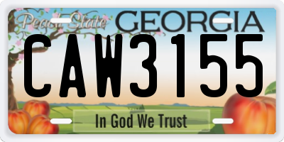 GA license plate CAW3155