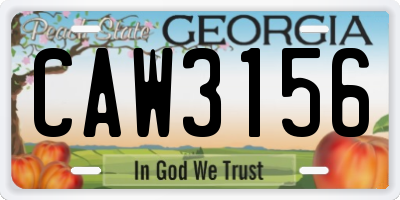 GA license plate CAW3156