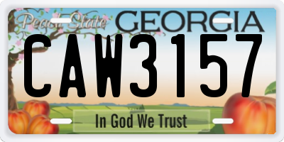 GA license plate CAW3157