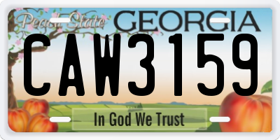 GA license plate CAW3159