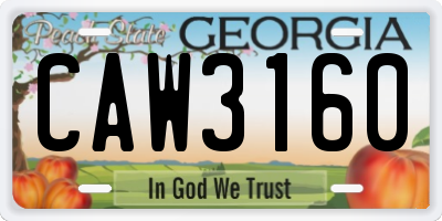 GA license plate CAW3160