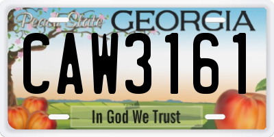 GA license plate CAW3161