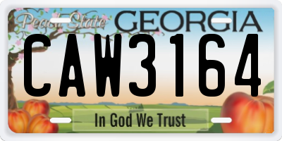 GA license plate CAW3164