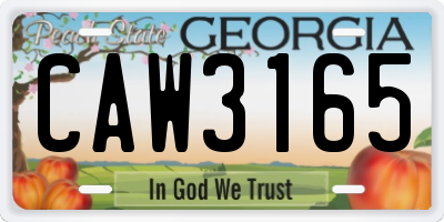 GA license plate CAW3165