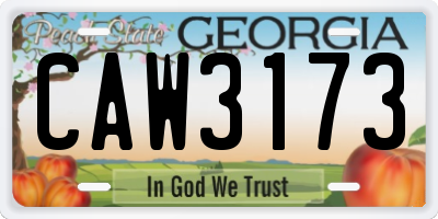 GA license plate CAW3173