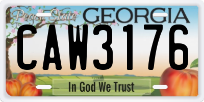 GA license plate CAW3176