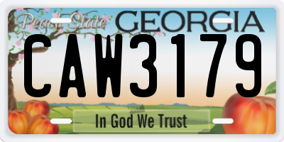 GA license plate CAW3179