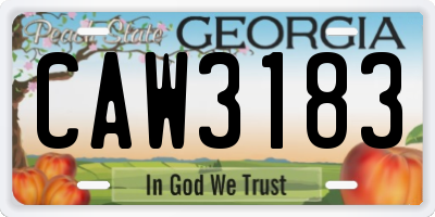 GA license plate CAW3183