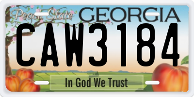 GA license plate CAW3184